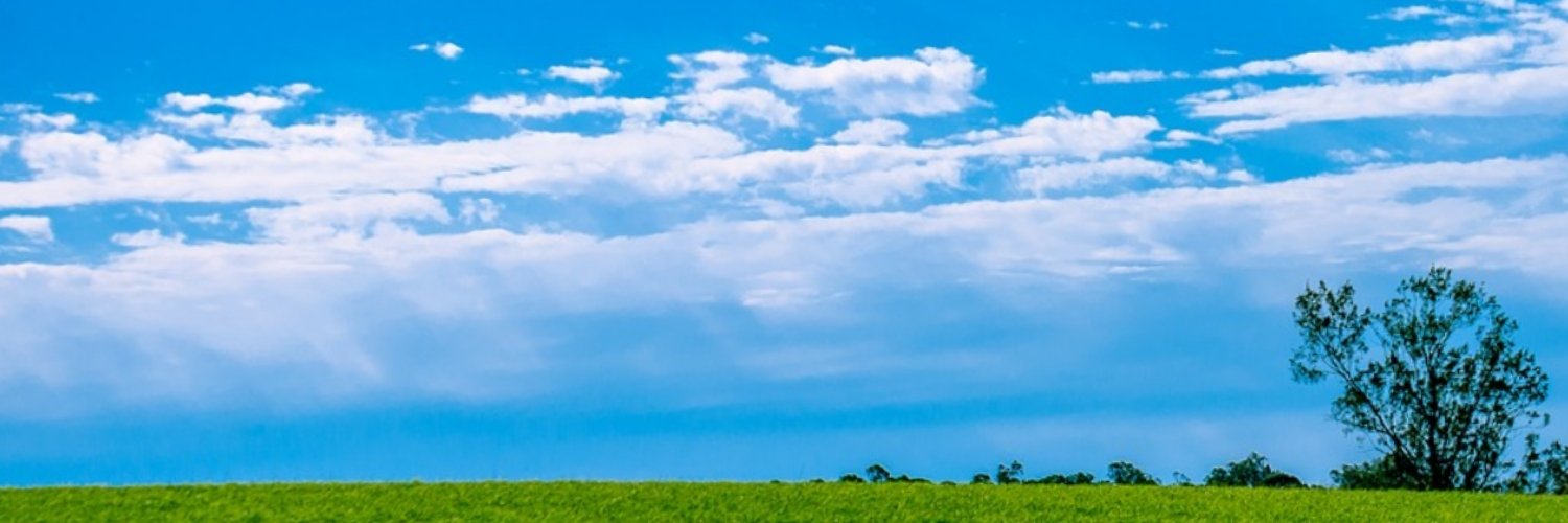 ayatemple's profile banner image
