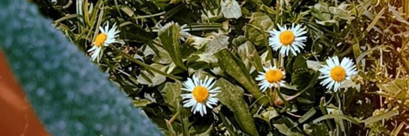 Marg275's profile banner image