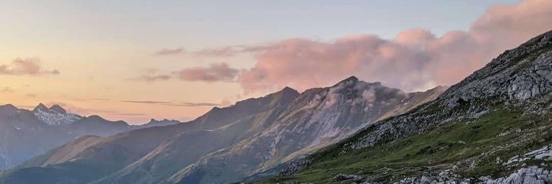 Marjeta Prah-Moses 💚 banner