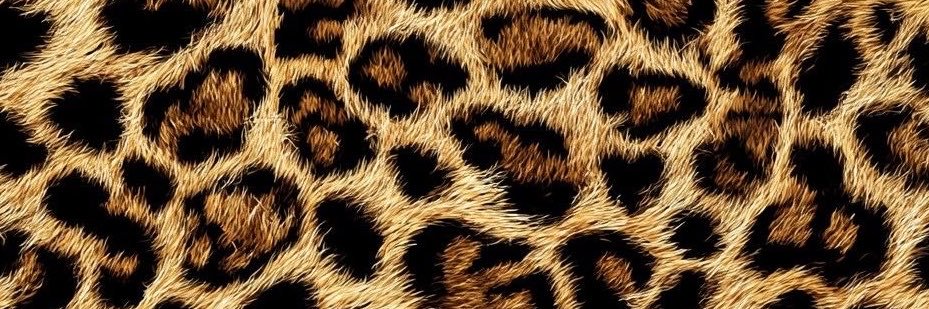 Gabsmourao7's profile banner image