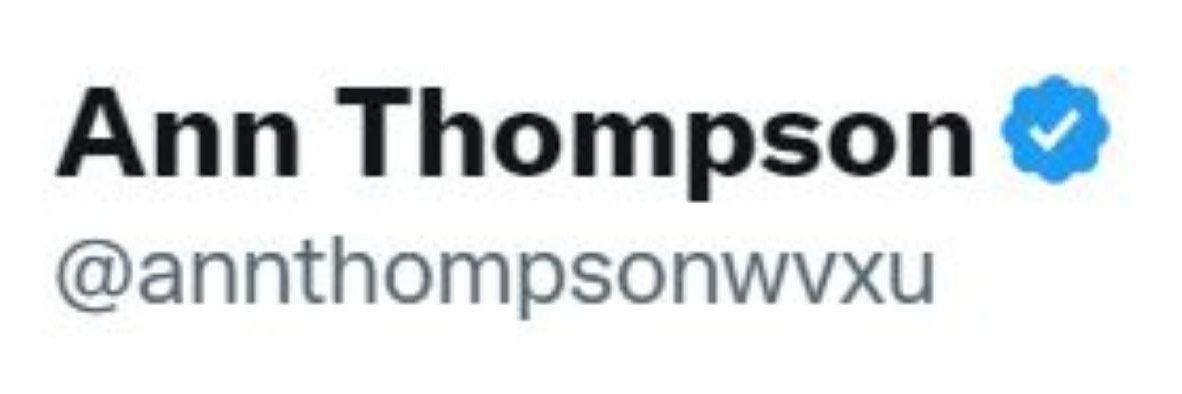 annthompsonwvxu's profile banner image