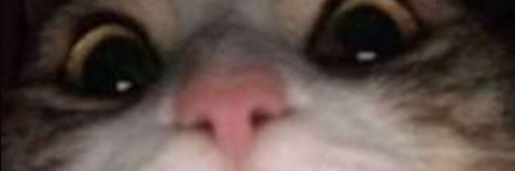 elglozano's profile banner image