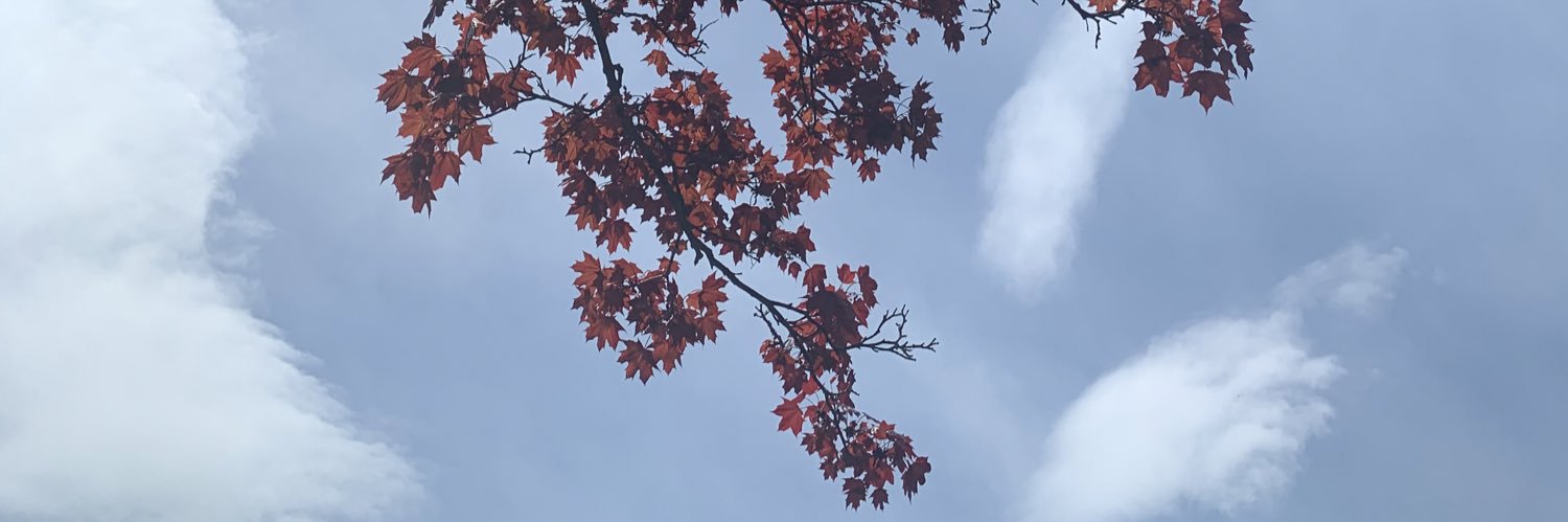 heyconnerian's profile banner image