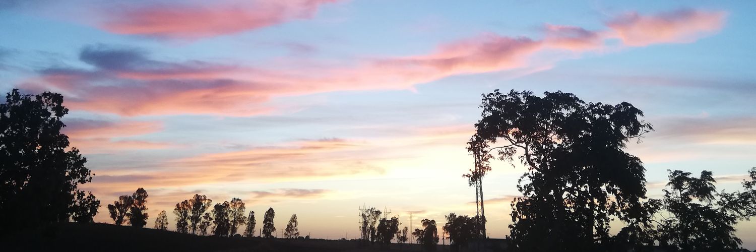 Pauulaa_6's profile banner image