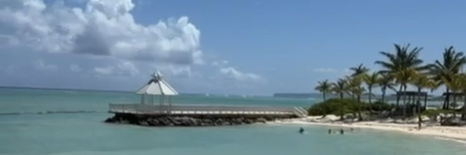 Myrna Flores Chang💜💚 banner