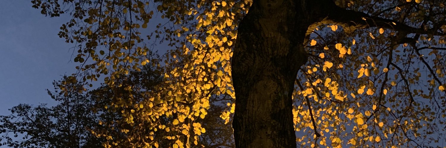 SyLizle's profile banner image