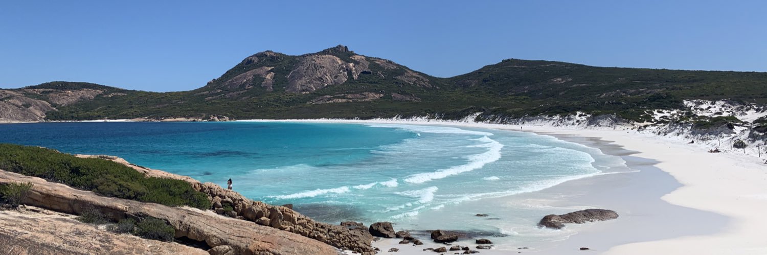 Kathryn Handicott banner