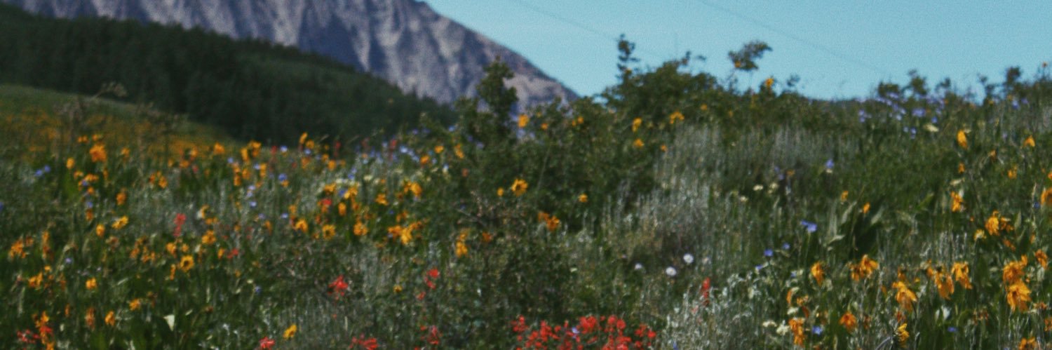 queenmagss's profile banner image