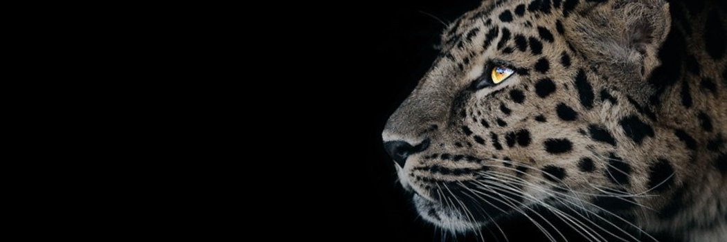 marcryan's profile banner image