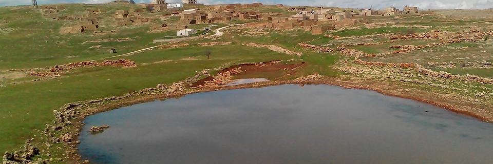 Sabro Bengaro banner