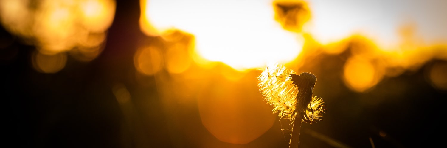 BreerzTim's profile banner image
