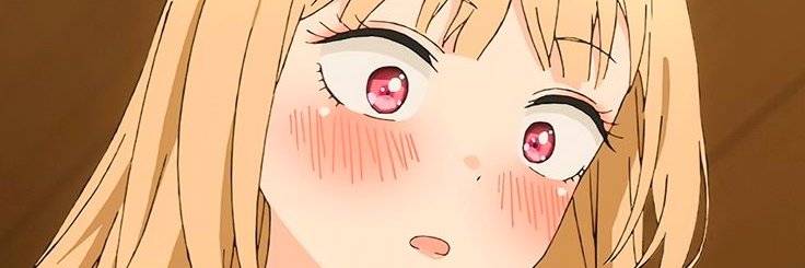 linaaleila's profile banner image