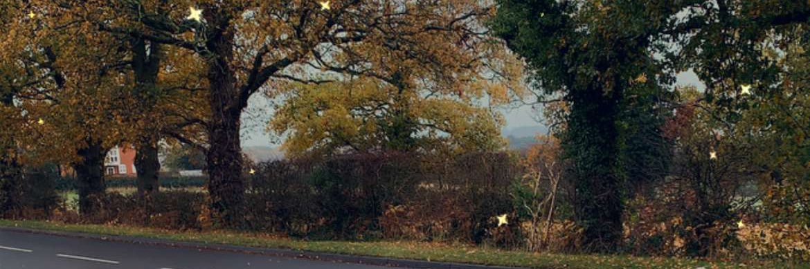 shereen4000's profile banner image