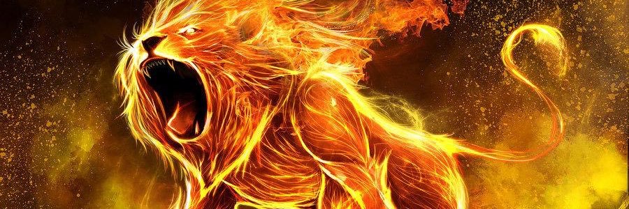 nittoscaffe's profile banner image