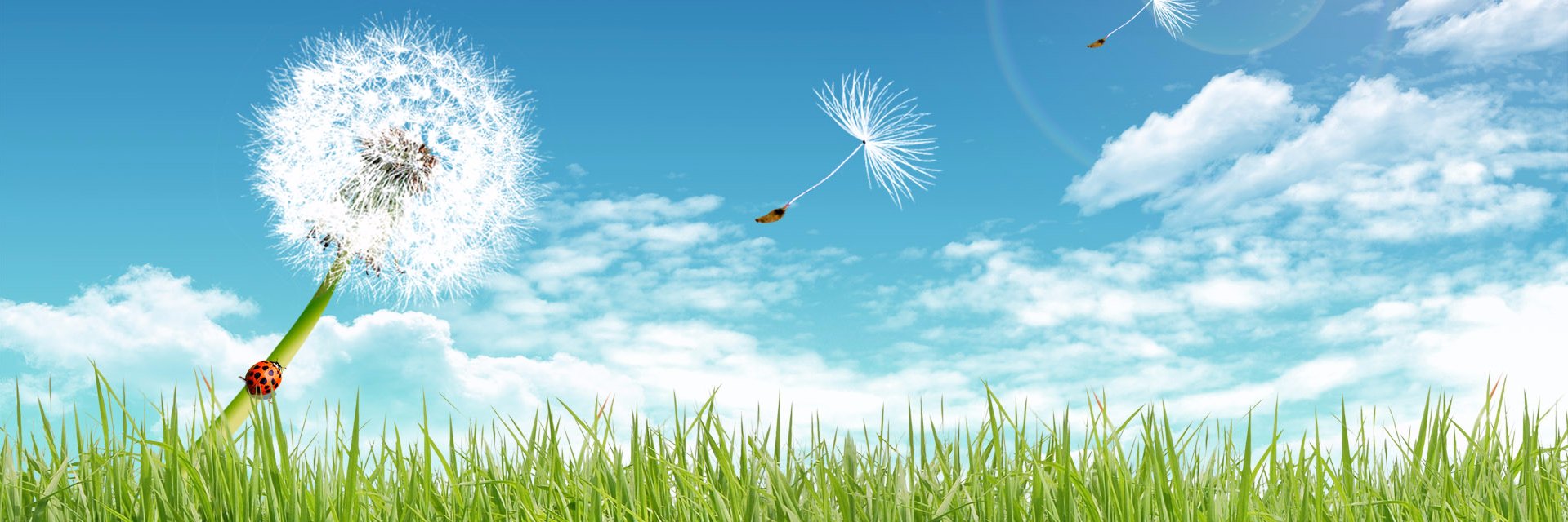 Navneet_kishore's profile banner image