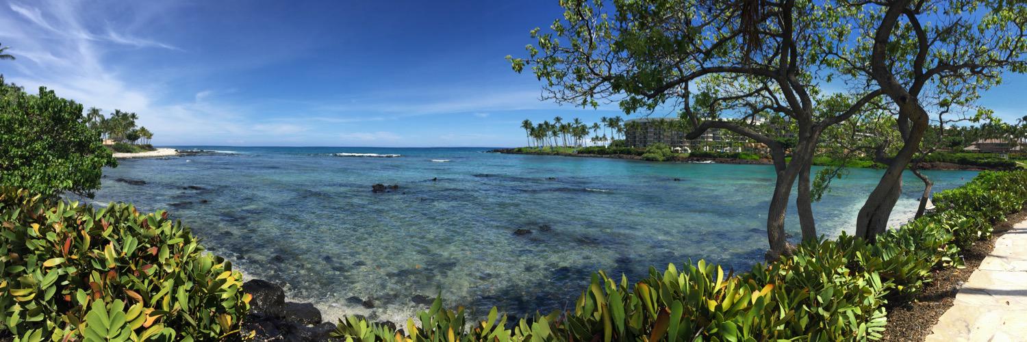 Jessica Scrace banner