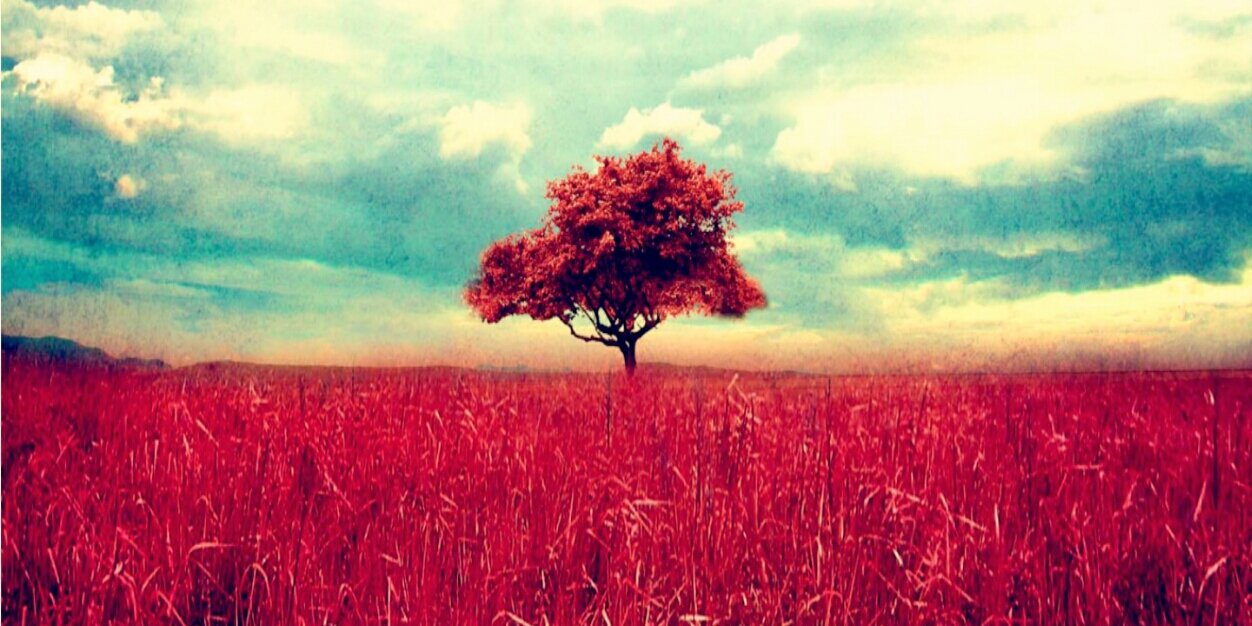 cherry_mk's profile banner image
