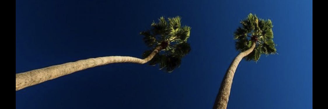 JackRandab's profile banner image