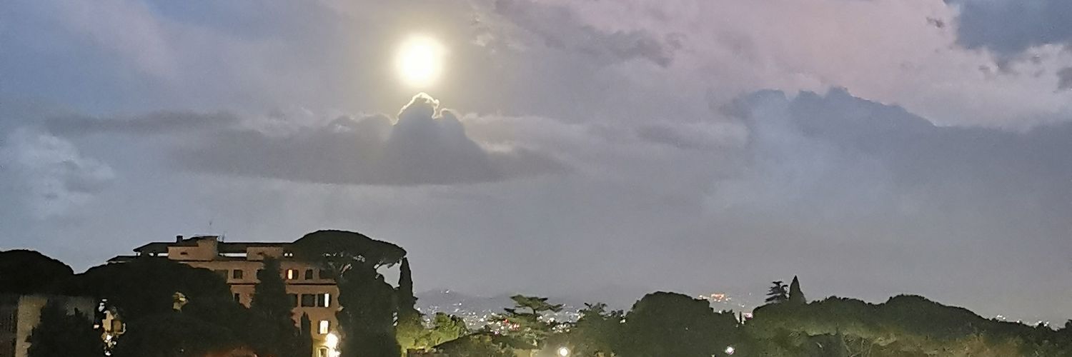Laura De Palma banner