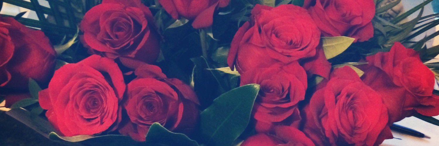 JessMcD95's profile banner image