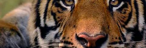 Seasiders8's profile banner image
