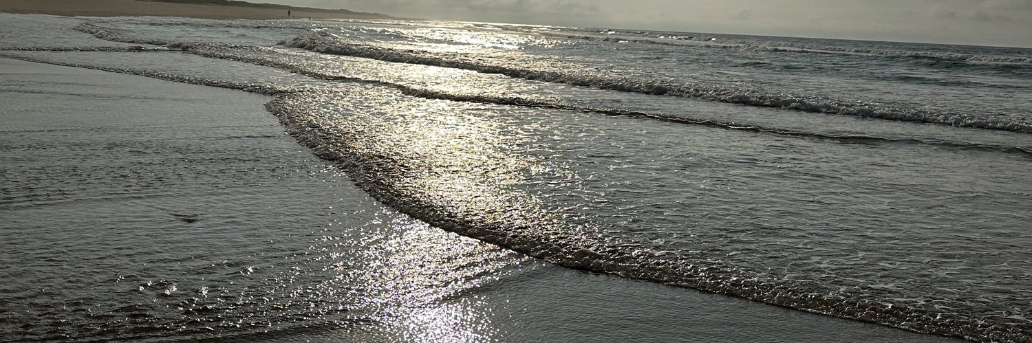 Doug Bernstein banner