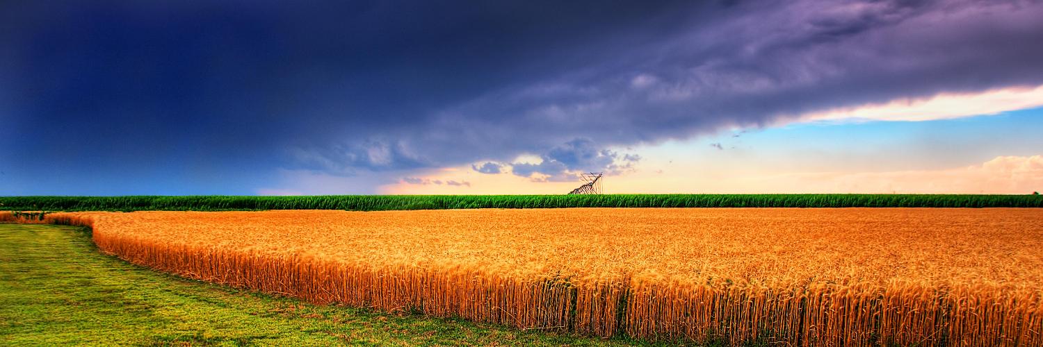 KSSmallBiz's profile banner image