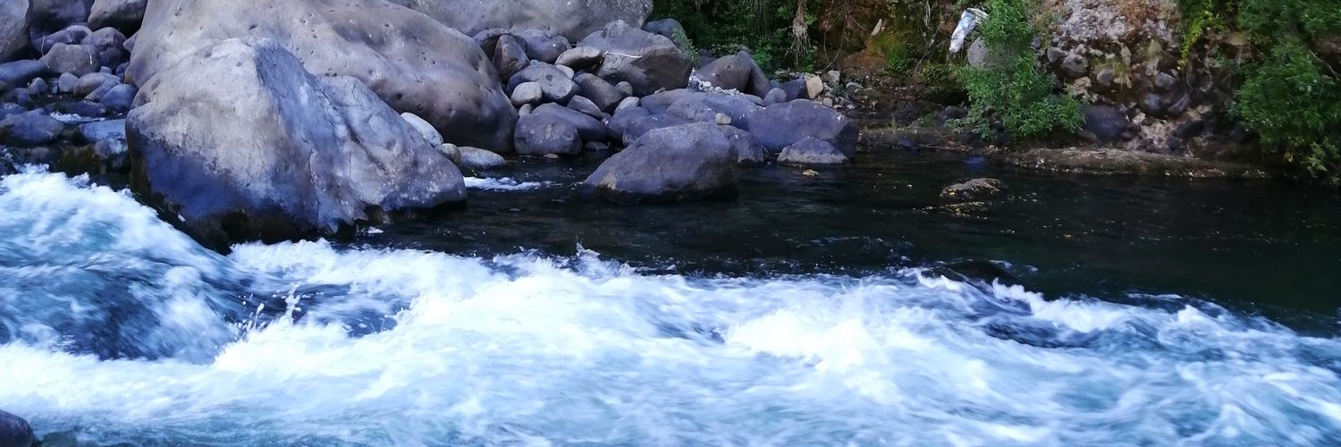 hcastilloch's profile banner image