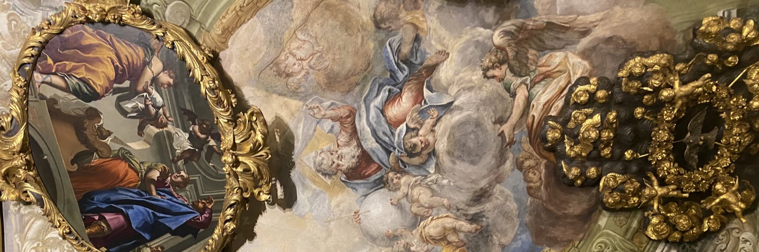 VeeNectar's profile banner image