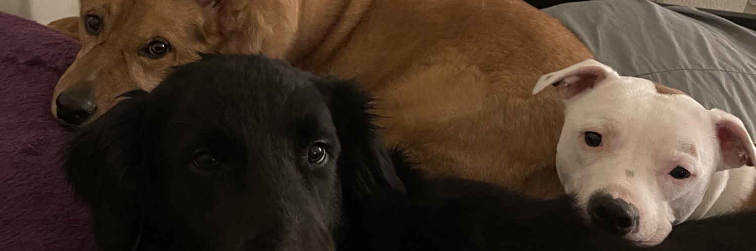 Phransiskoh's profile banner image