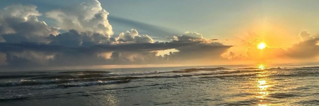 magic_mickee's profile banner image