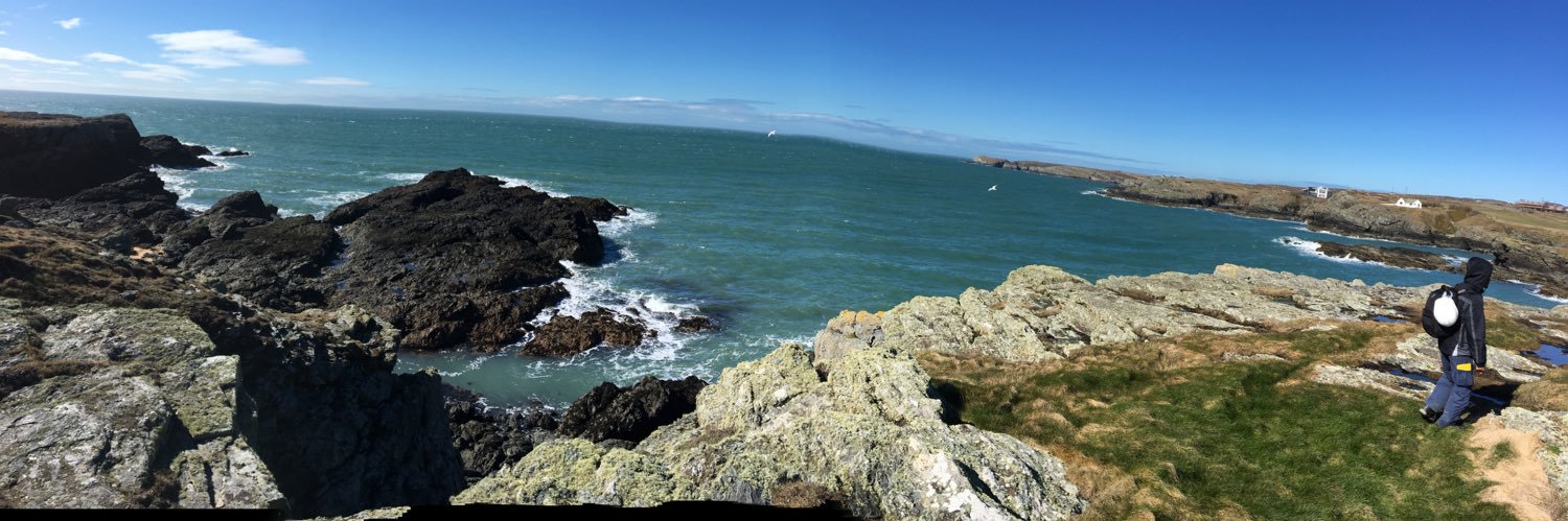 wescreamngowild's profile banner image