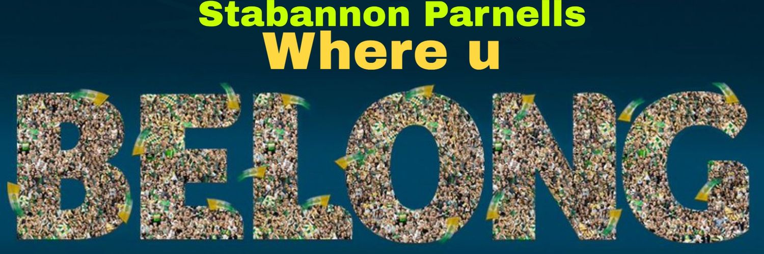 Stabannon Parnells GFC banner