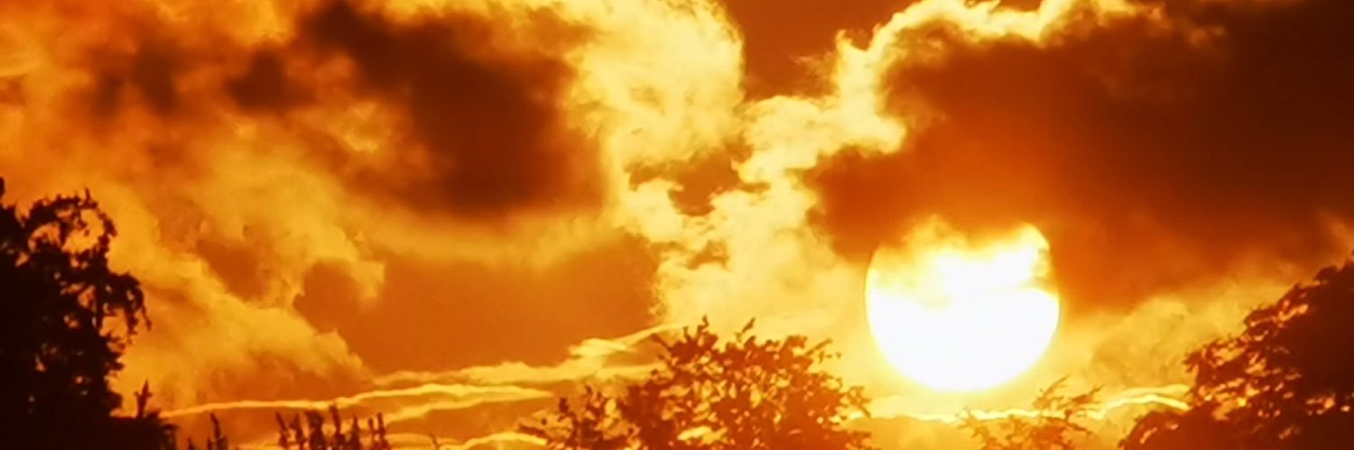 shezabella sheano banner