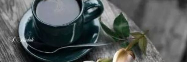 Dealp77's profile banner image