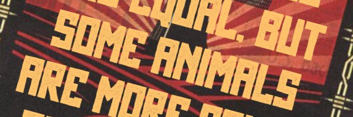 Essemkay banner