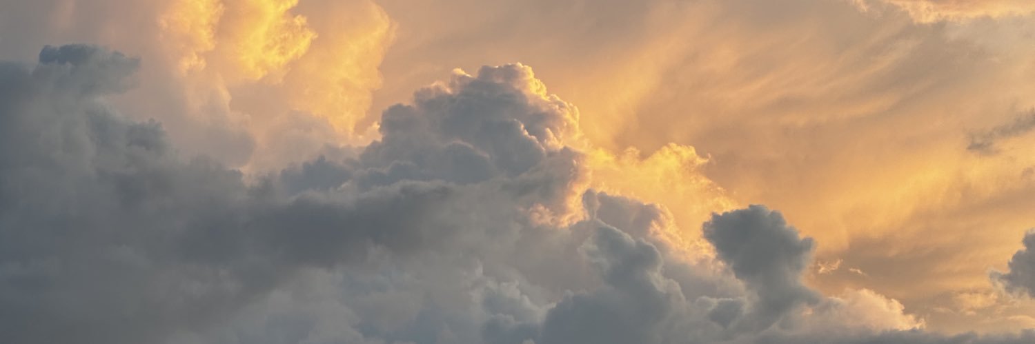 Elodie7_'s profile banner image