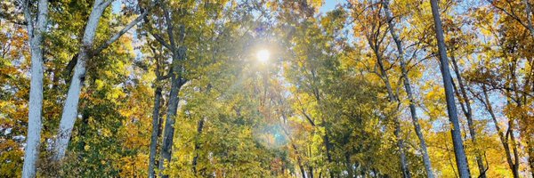 cullenbrowder Profile Banner