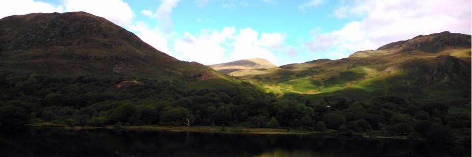 Elliott Simcox banner