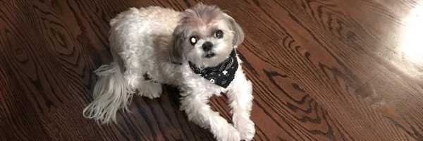 StorminNorm5 Profile Banner