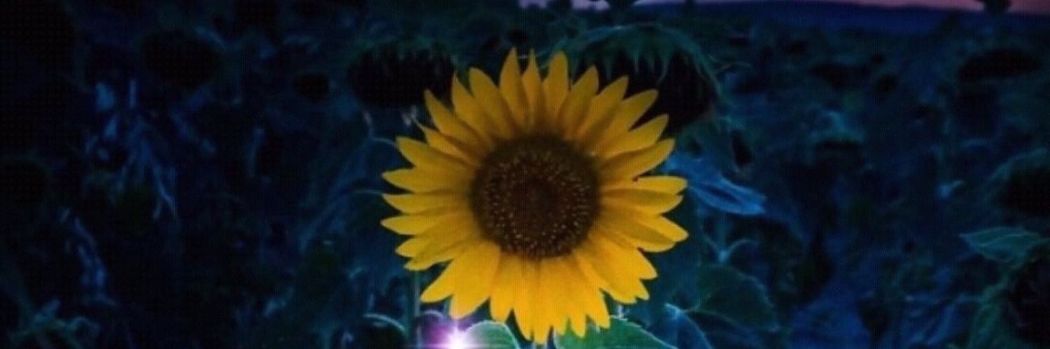 BaSabees's profile banner image
