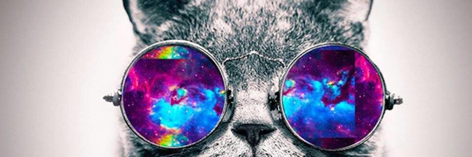 MichHinrichsen's profile banner image