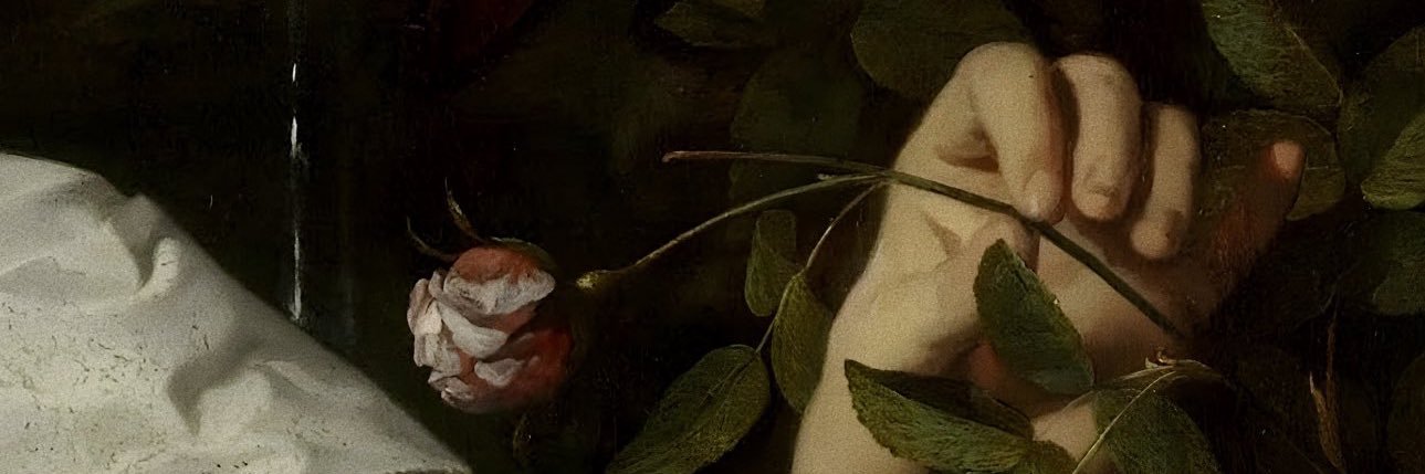 francipeluso's profile banner image