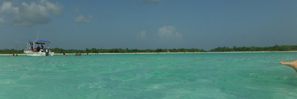 DanielaCh_'s profile banner image
