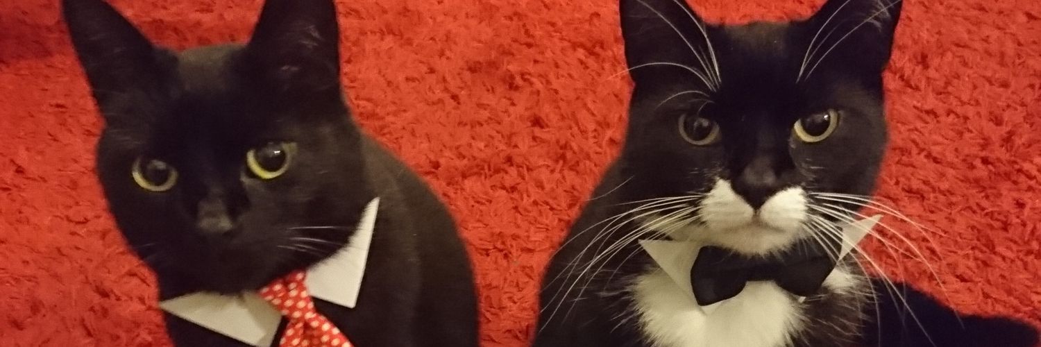 L_Hugz's profile banner image