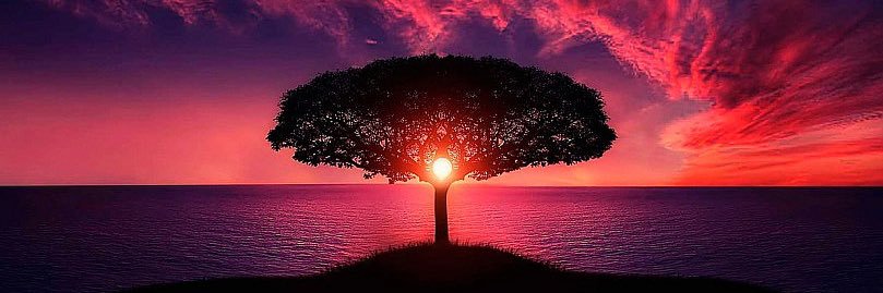 Fede Silam 🔻 banner