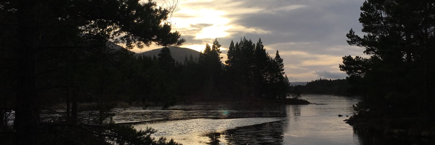ryanmcgov's profile banner image