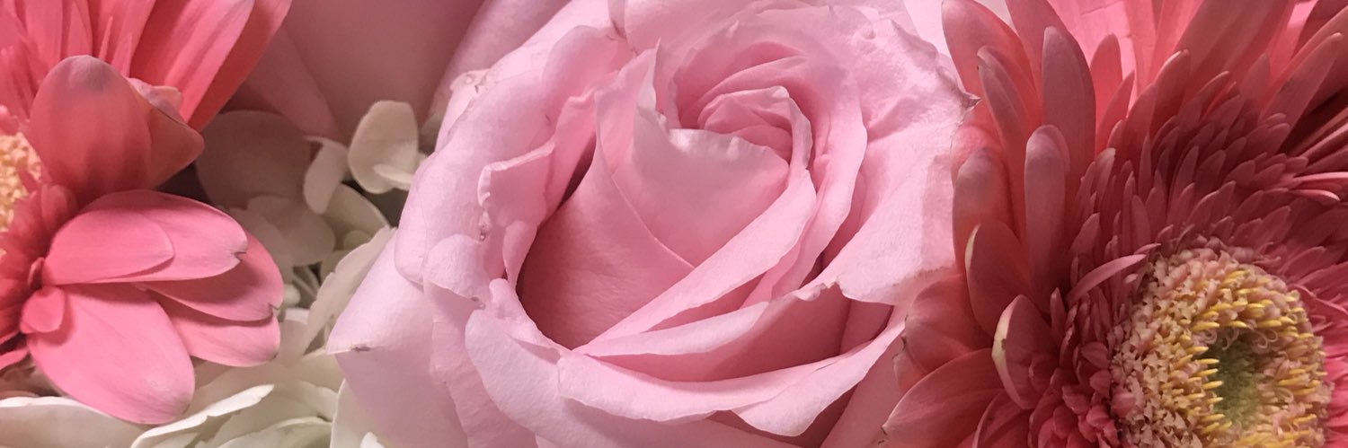 1IceAngel2's profile banner image