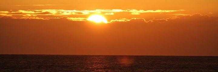 annejohnson501's profile banner image