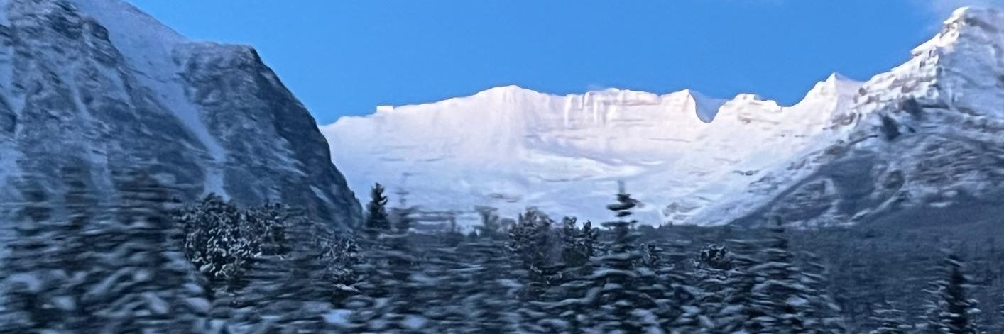 Gloria Suvanto banner